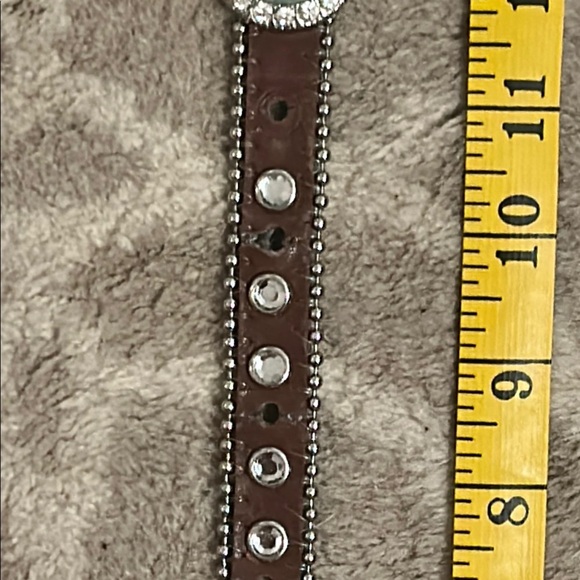 Brown Crystal Embellished Belt - Picture 11 of 15